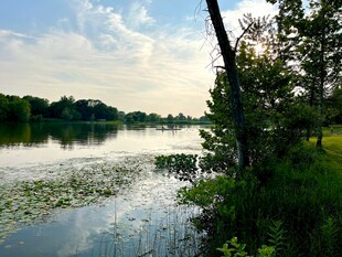 湖畔风光 宁静自然美景