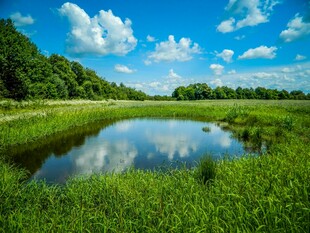 湖畔绿野蓝天美景