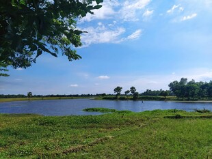 湖畔绿野蓝天美景