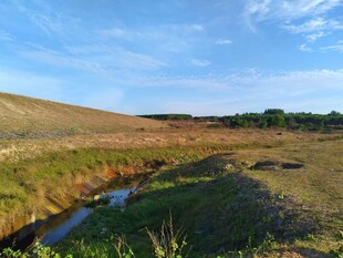 田野间的小水渠风景
