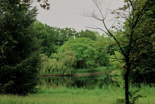 林间静谧湖泊美景