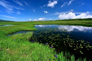 草原湖畔美景
