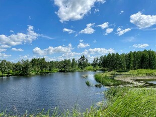 湖畔绿野蓝天自然美景
