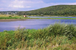 湖畔绿野风光