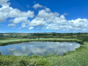 湖畔绿野蓝天美景
