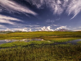 草原湿地风光美景