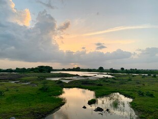 黄昏下的湿地河流美景