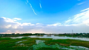 美丽河畔风光