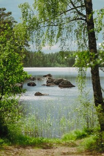 湖畔森林美景