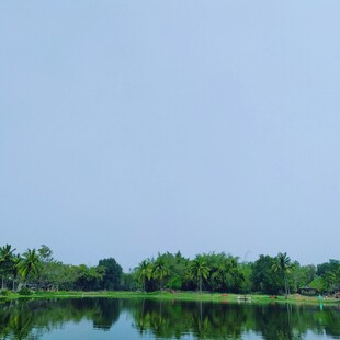 宁静湖面与葱郁树林景观