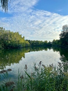 宁静湖畔风光