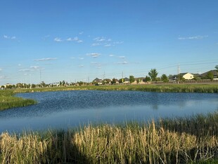 宁静湖畔风光