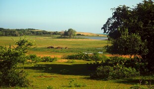 田园风光美景