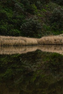 静谧湖面山林倒影