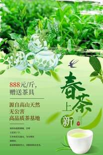 春茶上市