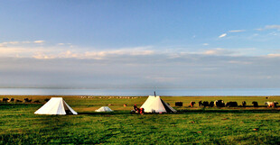 草原上的白色帐篷风景