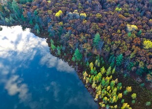 湖畔多彩森林美景