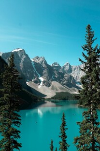 美丽的高山湖泊森林景观