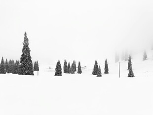 雪覆山林 静谧冬日景象