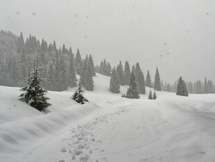 雪覆山林的冬日景象