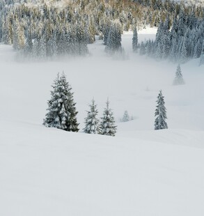 雪覆山林 雾气缭绕之景