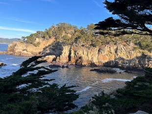海岸边的嶙峋岩石与绿植