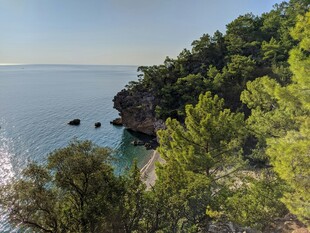 海岸绿树环绕的美丽景致
