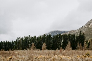山林旷野风景图