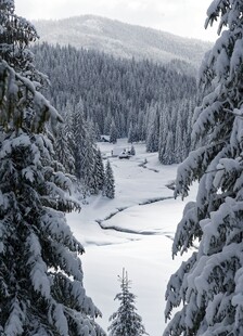 冬日雪覆山林美景