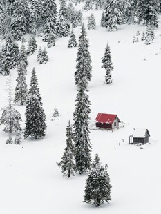 雪野中的红屋与树木