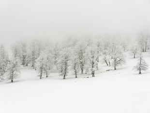 雪覆山林的静谧冬日景象