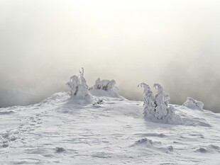 雪覆山丘上的奇特雪雕
