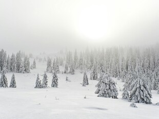 雪覆山林冬日美景