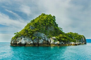 海中绿岛美景