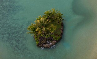 海中绿岛