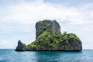 海中孤岩绿意盎然