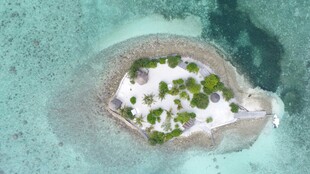 海中绿岛美景
