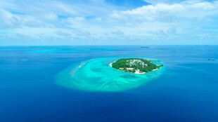 海上绿岛美景