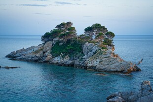 海上孤岩绿意点缀