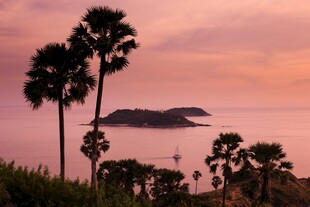 日落时分的海岛椰林美景