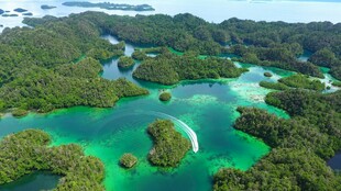 梦幻般的海岛绿水景观