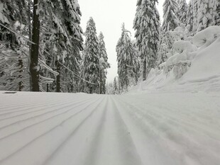 雪覆林间路