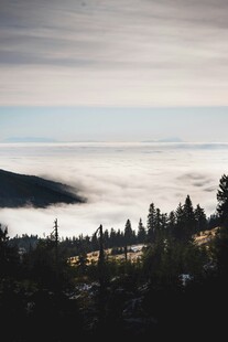 山间云海森林美景