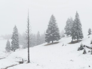 雪覆山林的冬日美景
