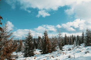 雪覆山林蓝天景