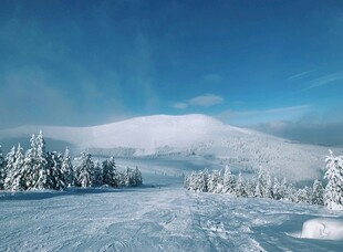 冬日雪景中的银白山林