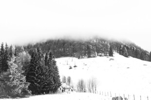 雪覆山林美景