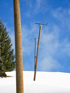 雪山上的电线杆与松树