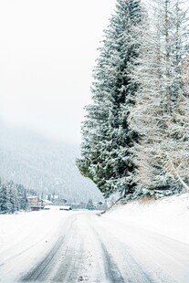 冬日雪覆公路与挺拔树木