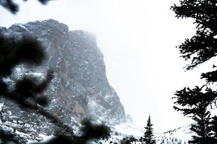 雪山旁的树木景观